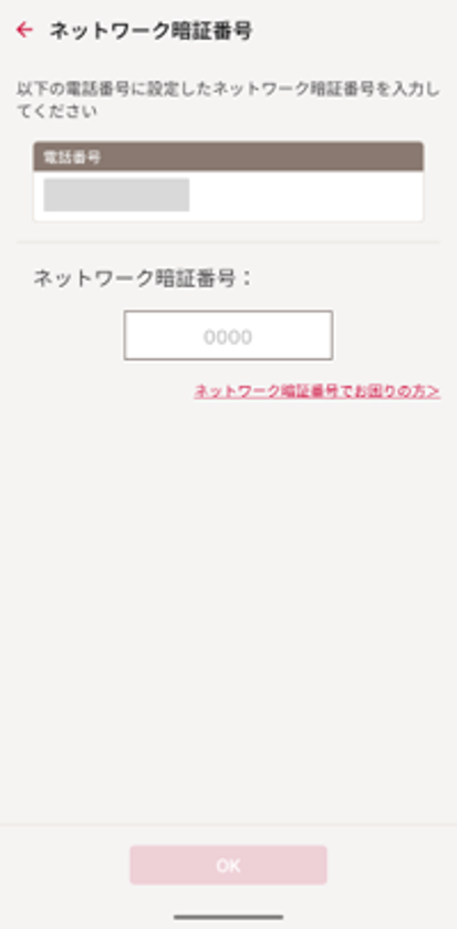 ネットワーク暗証番号入力