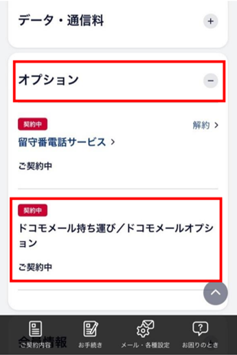 オプションの確認